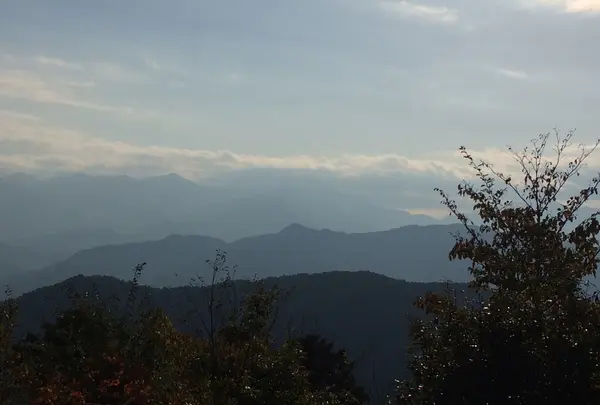 高尾山の写真・動画_image_166517