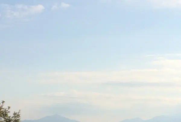 高尾山の写真・動画_image_166518