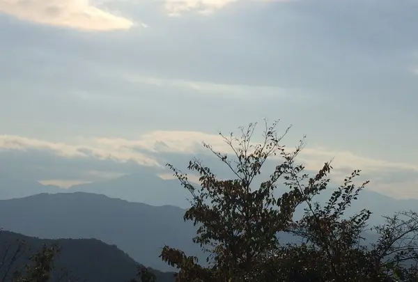 高尾山の写真・動画_image_166522