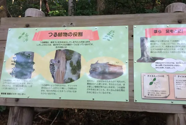 高尾山の写真・動画_image_166526