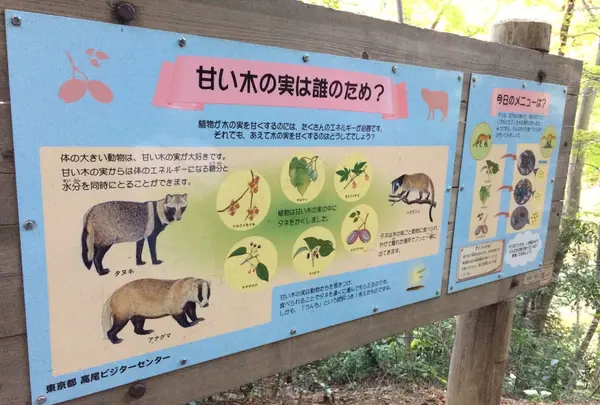 高尾山の写真・動画_image_166527