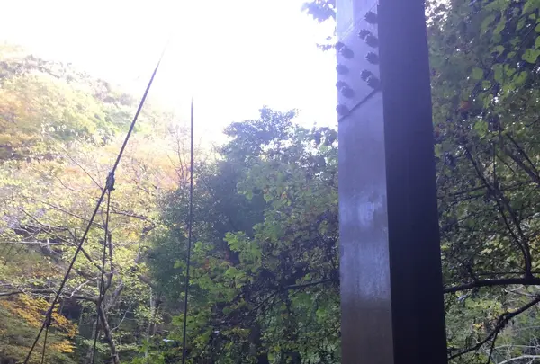 高尾山の写真・動画_image_166528