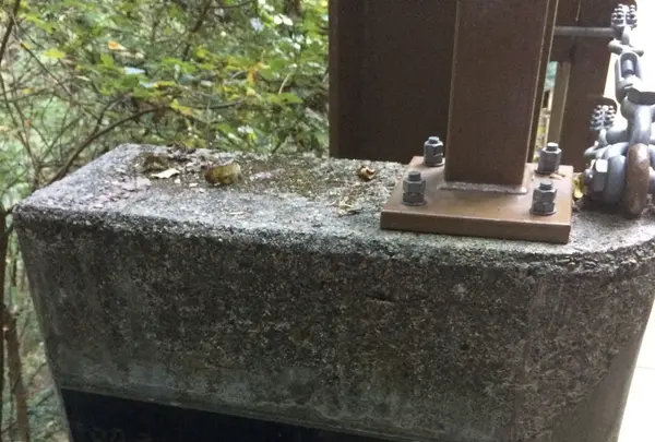 高尾山の写真・動画_image_166529