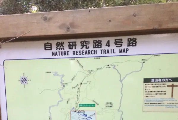 高尾山の写真・動画_image_166530