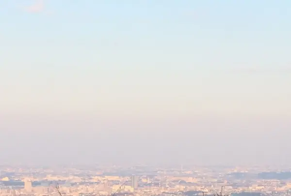 高尾山の写真・動画_image_166558