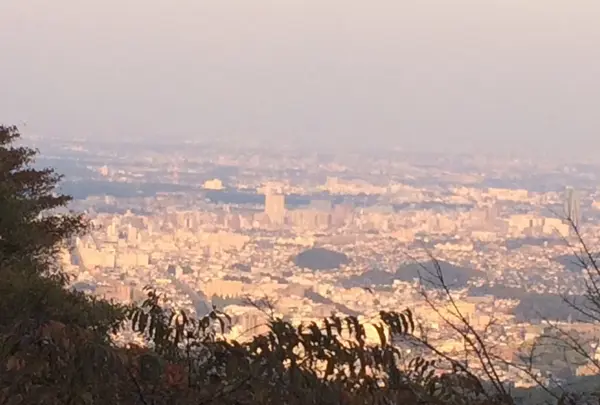 高尾山の写真・動画_image_166559