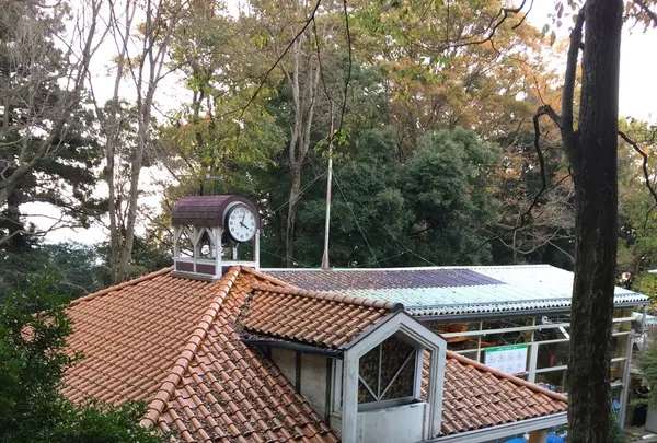 高尾山の写真・動画_image_166560