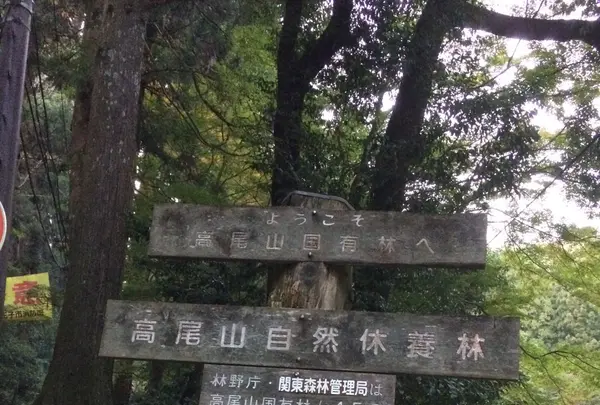 高尾山の写真・動画_image_166562