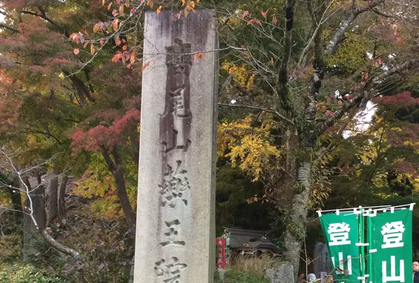 高尾山の写真・動画_image_166563