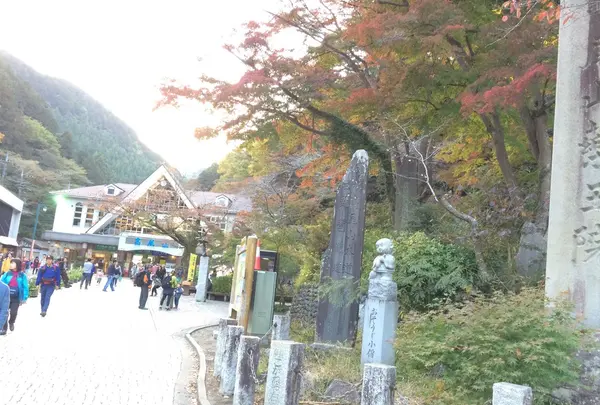 高尾山の写真・動画_image_166564