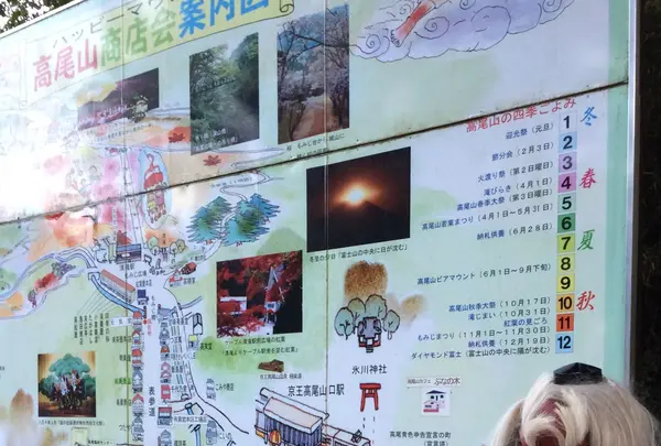 高尾山の写真・動画_image_166565