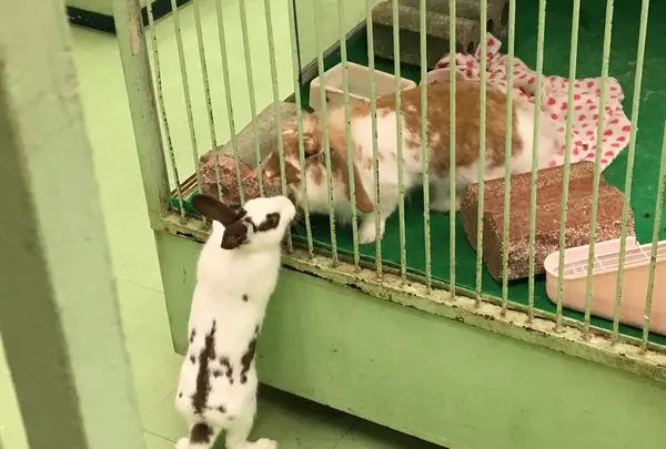 ＺＯＯ四谷の写真・動画_image_166993