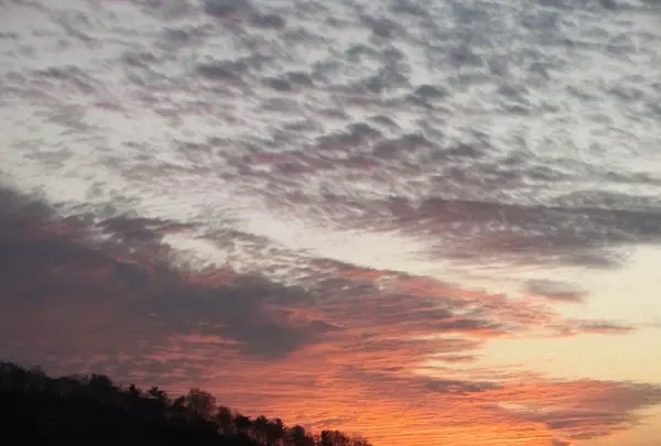 SORA terrace（ソラテラス）の写真・動画_image_167105