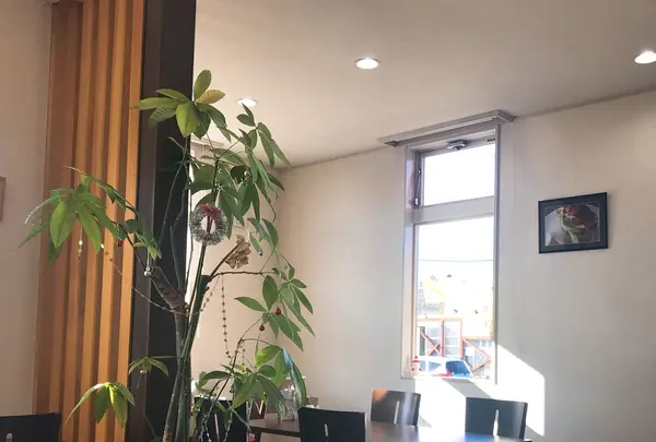 パンカフェ 優の写真・動画_image_167142