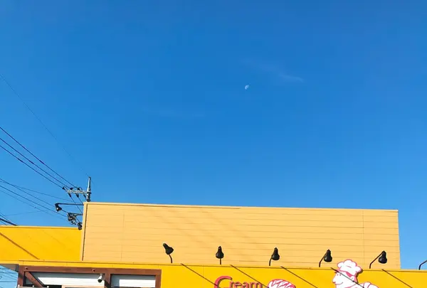 パンカフェ 優の写真・動画_image_167143