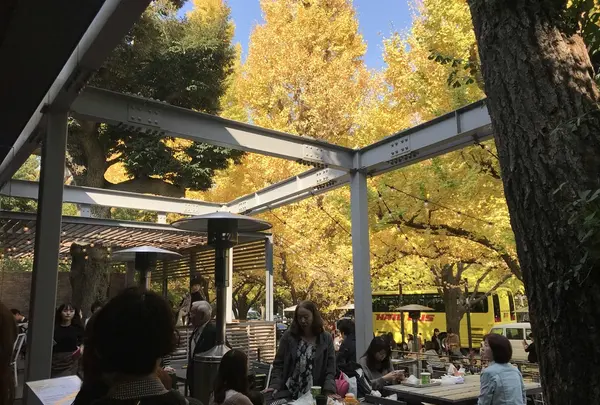 シェイクシャック 外苑いちょう並木店 （SHAKE SHACK）の写真・動画_image_167163