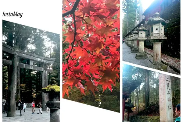 日光東照宮の写真・動画_image_167189