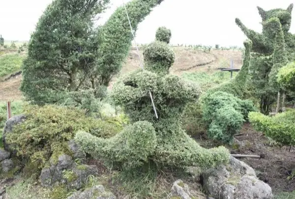 千羽鶴鹿公園の写真・動画_image_167218