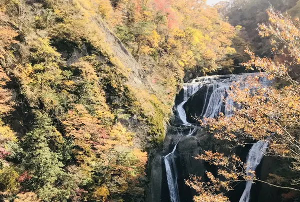 袋田の滝の写真・動画_image_167242