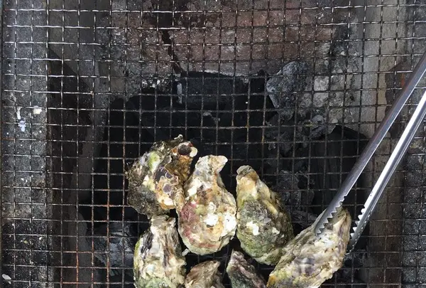 大福丸の写真・動画_image_167308