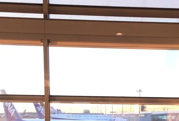 羽田空港（東京国際空港）の写真・動画_image_167412