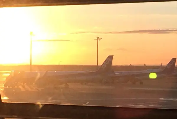 羽田空港（東京国際空港）の写真・動画_image_167413