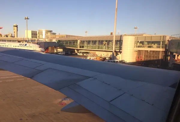 羽田空港（東京国際空港）の写真・動画_image_167418