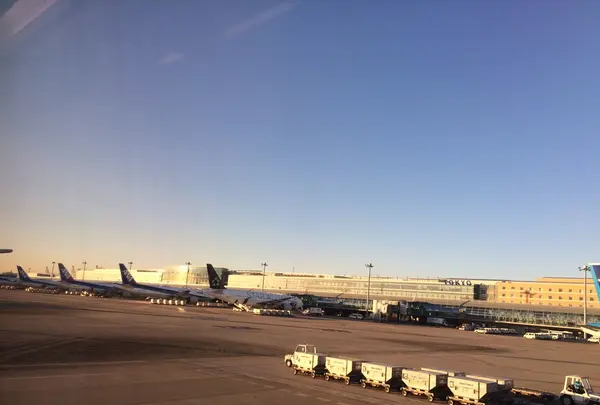 羽田空港（東京国際空港）の写真・動画_image_167419