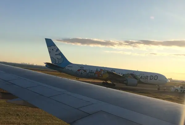 羽田空港（東京国際空港）の写真・動画_image_167428