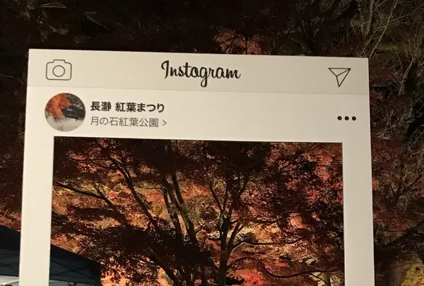 月の石もみじ公園の写真・動画_image_167470