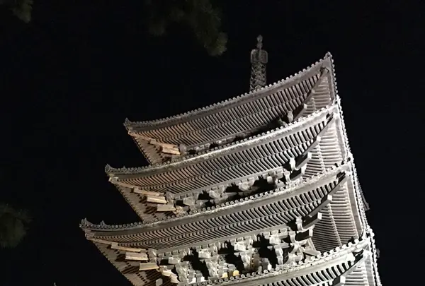 興福寺の写真・動画_image_167494