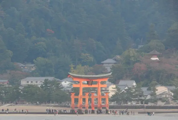 JR西日本宮島フェリーの写真・動画_image_167516