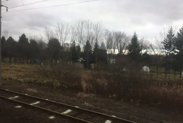 千歳駅の写真・動画_image_167530