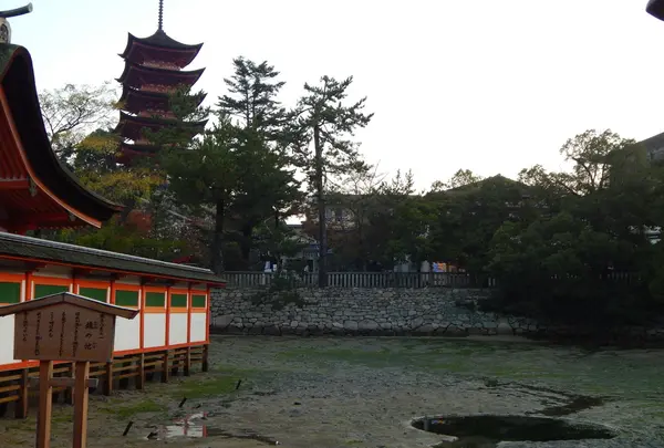 豊国神社（千畳閣）の写真・動画_image_167628