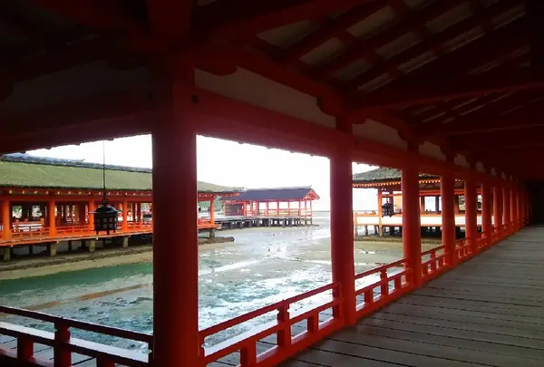 豊国神社（千畳閣）の写真・動画_image_167629
