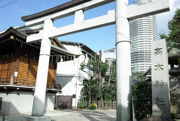 高木神社の写真・動画_image_167752