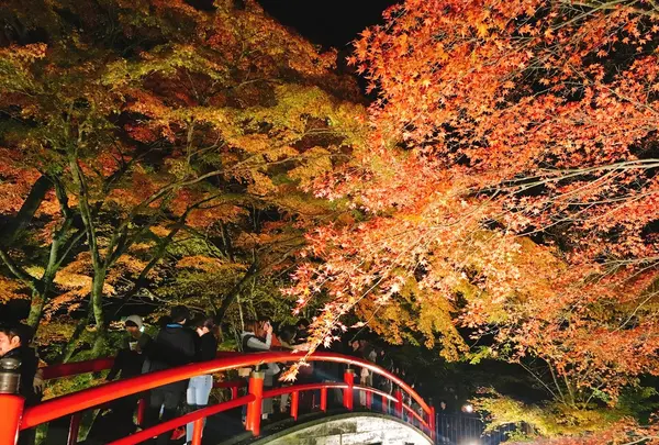 河鹿橋の写真・動画_image_167830