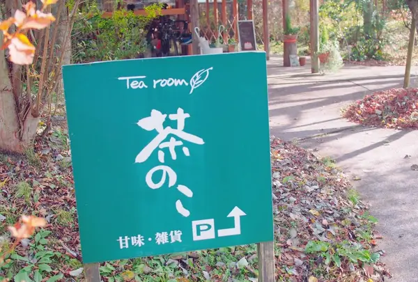 茶のこの写真・動画_image_167895