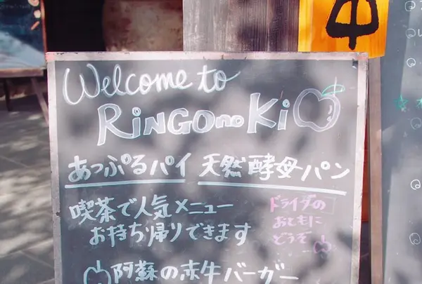 共楽園・林檎の樹の写真・動画_image_168007