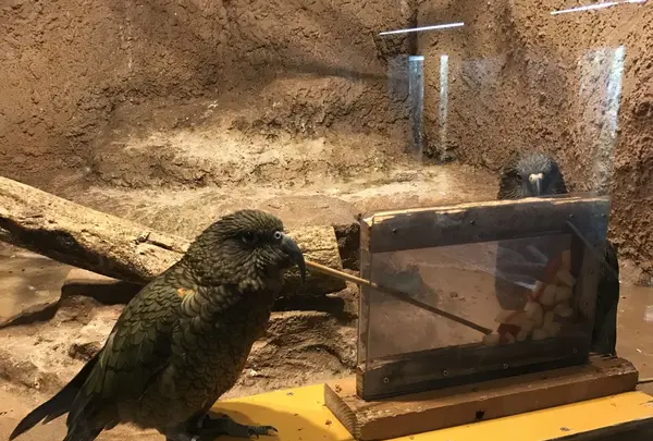 那須どうぶつ王国の写真・動画_image_168028