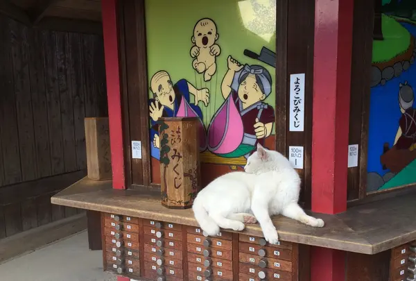 吉備津神社の写真・動画_image_168255
