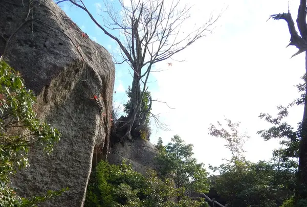 霊火堂の写真・動画_image_168265