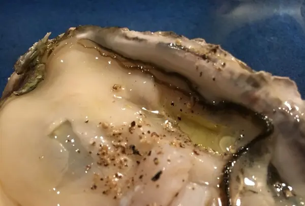 燦坐の写真・動画_image_168269