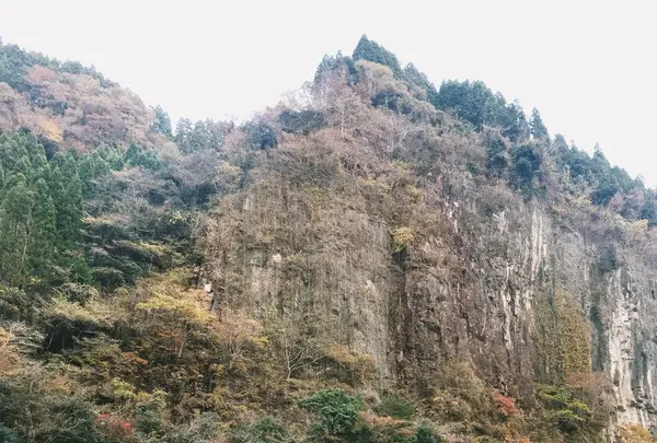 豊作市場の写真・動画_image_168354