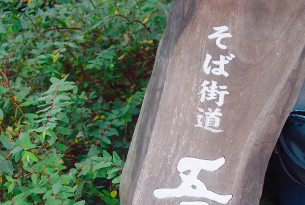 吾亦紅 (われもこう)の写真・動画_image_168412