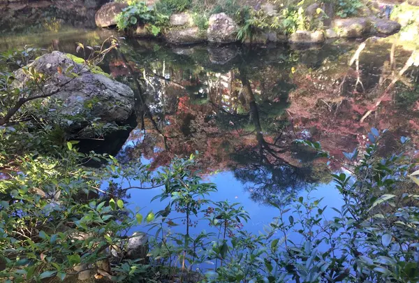 殿ヶ谷戸庭園の写真・動画_image_168445