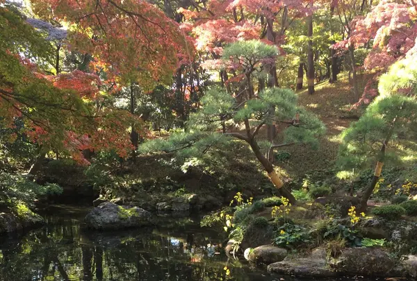 殿ヶ谷戸庭園の写真・動画_image_168447