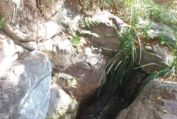 殿ヶ谷戸庭園の写真・動画_image_168449