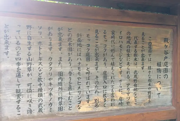 殿ヶ谷戸庭園の写真・動画_image_168455