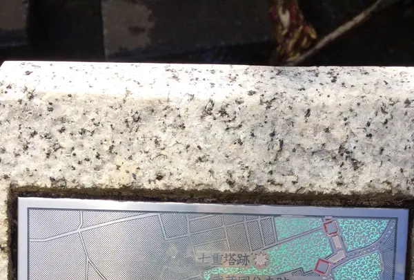 お鷹の道・真姿の池湧水群の写真・動画_image_168484